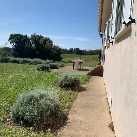 Holiday home Agreable Maison Dans Les Vignes, 8 Min De La Aleria (Corsica)