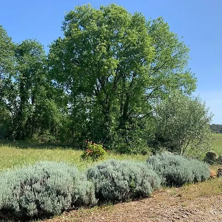 Agreable Maison Dans Les Vignes, 8 Min De La Holiday home