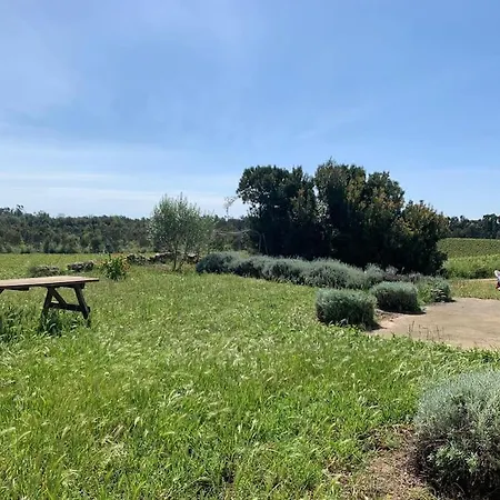 Agreable Maison Dans Les Vignes, 8 Min De La